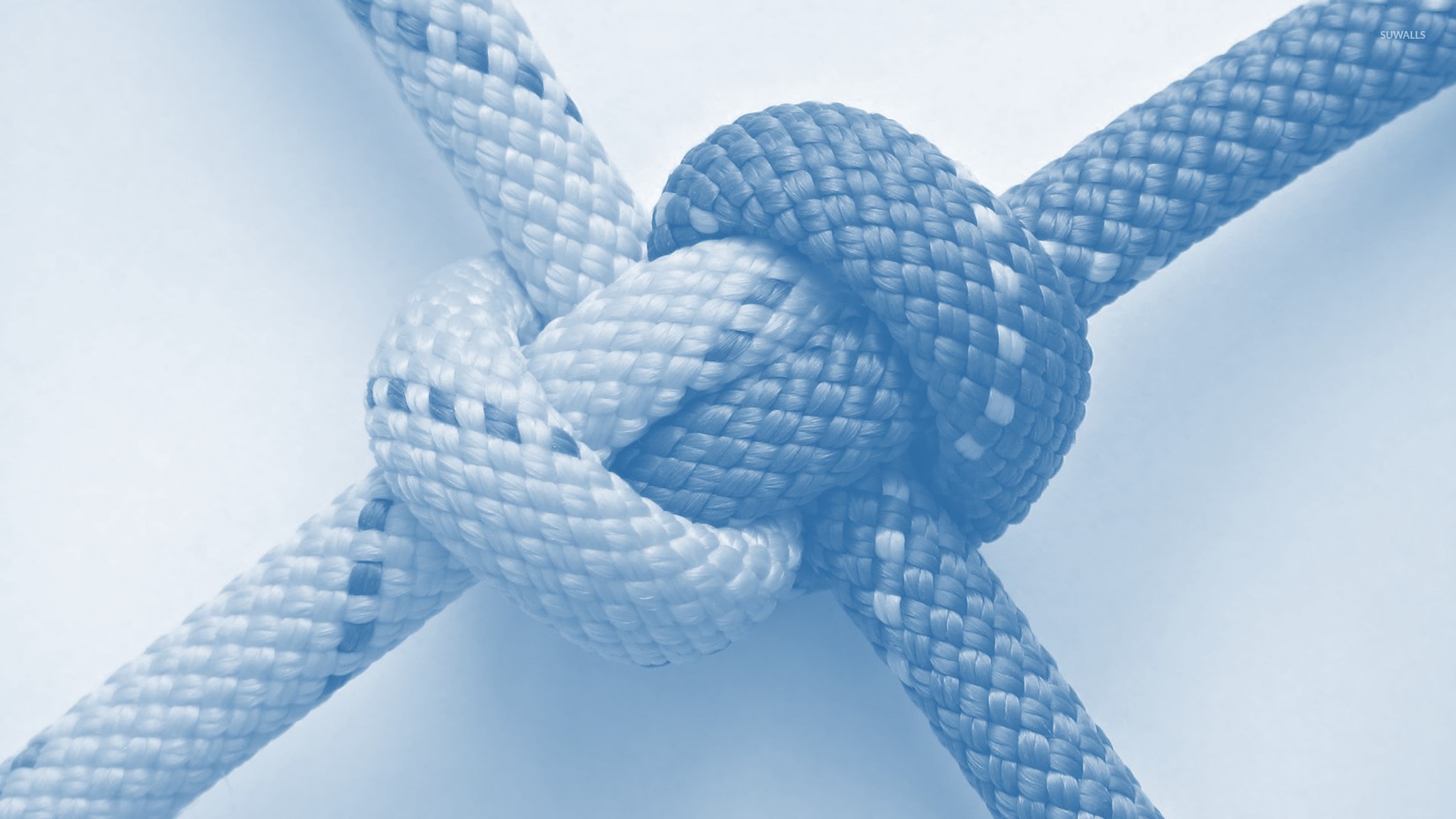 A close up of two ropes tied to one another