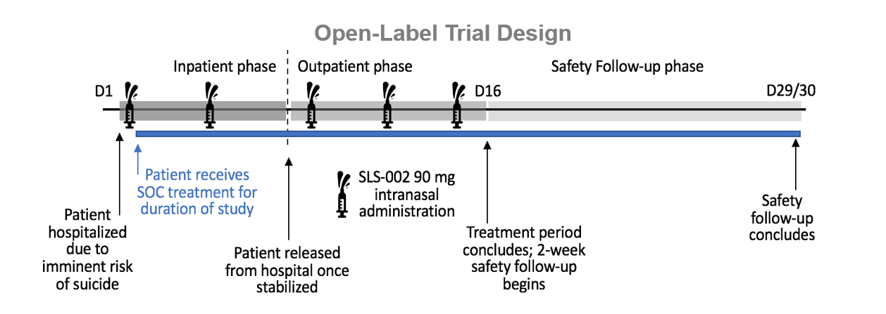 A diagram of the open-label trial design.