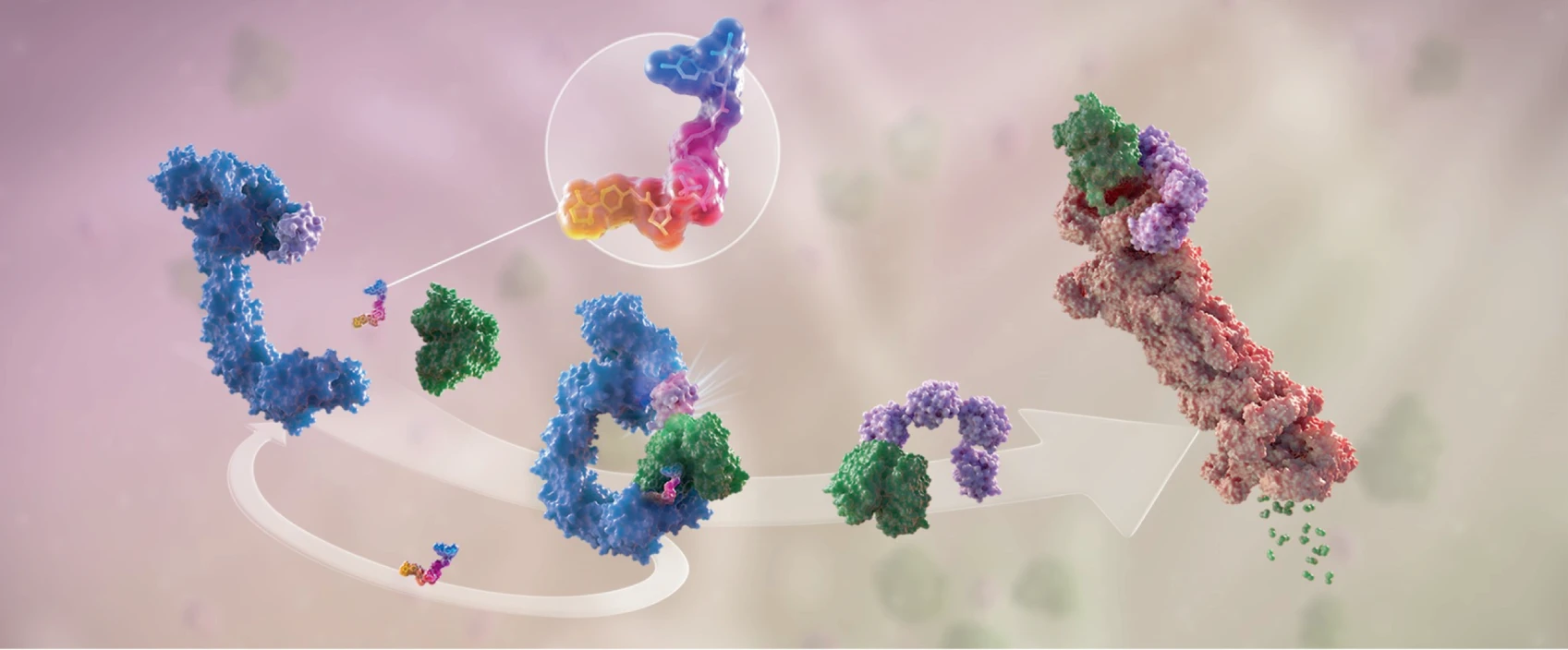 A group of molecules that are in the air.